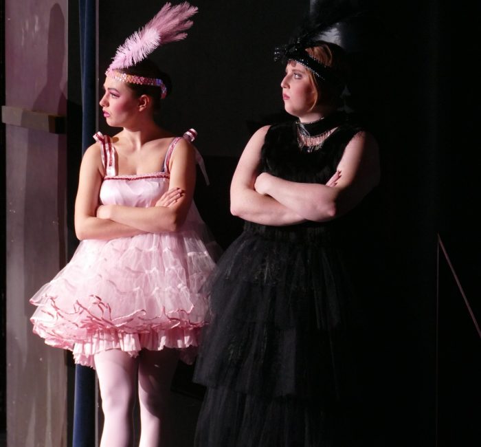 2024 11 12 Fledermaus KHP1 ©Andreas Herold (80)